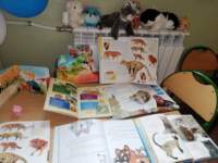 img_20230217_094351_small.jpg