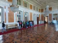 img_20221109_105227_small.jpg
