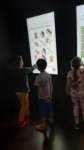 img20230523wa0008_small.jpg