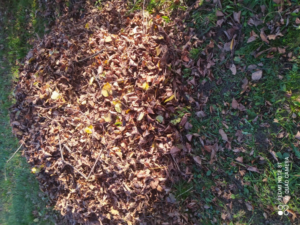 img_20221112_130917.jpg