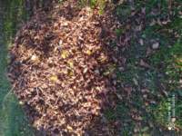 img_20221112_130917_small.jpg