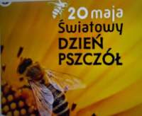 _125020_small.jpg