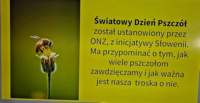 _125901_small.jpg