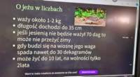 _133317_small.jpg