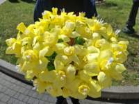 _103852_small.jpg