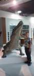 photo7_small.jpg