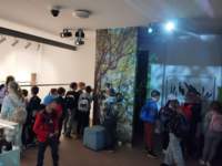 img_20250528_093058_small.jpg