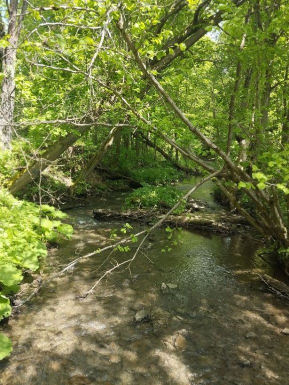 img_20250528_113405.jpg