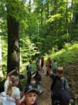 img_20250528_123100_small.jpg