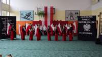 mvi_2037frameat0m16s_small.jpg